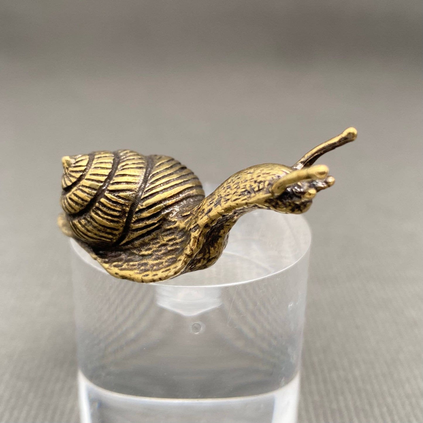 Brass Snail Desktop Ornament
